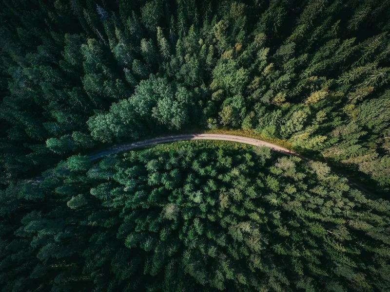 Widok na zalesione górskie zbocza
